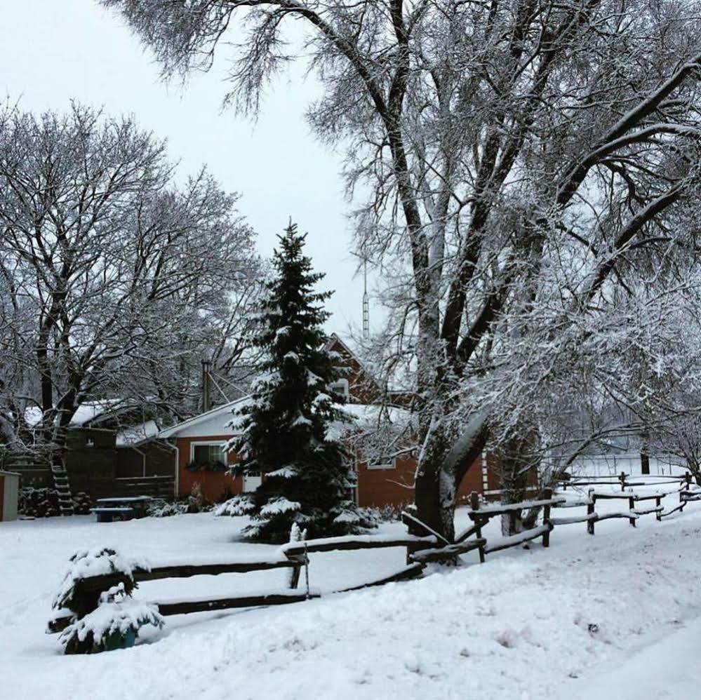 Emily'S Place B&B Creemore Екстериор снимка